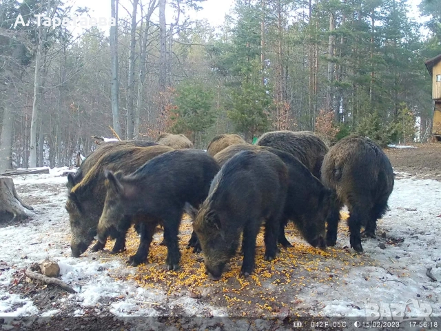 ловни камери, снимка 9 - Екипировка - 53501278