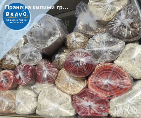 Машинно пране на килими и пътеки, снимка 2 - Пране на килими - 53560094