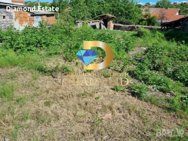 Парцел със стара къща в село Ябълково, общ. Димитровград, снимка 5 - Парцели - 50737645