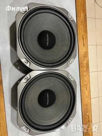 MEMOREX 10”, снимка 5 - Тонколони - 53821366