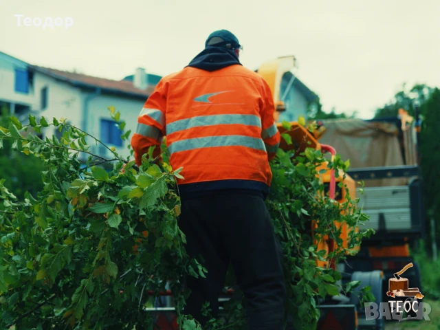 Косене не трева - отстраняване и извозване на растителност, снимка 5 - Хамалски услуги - 51241056