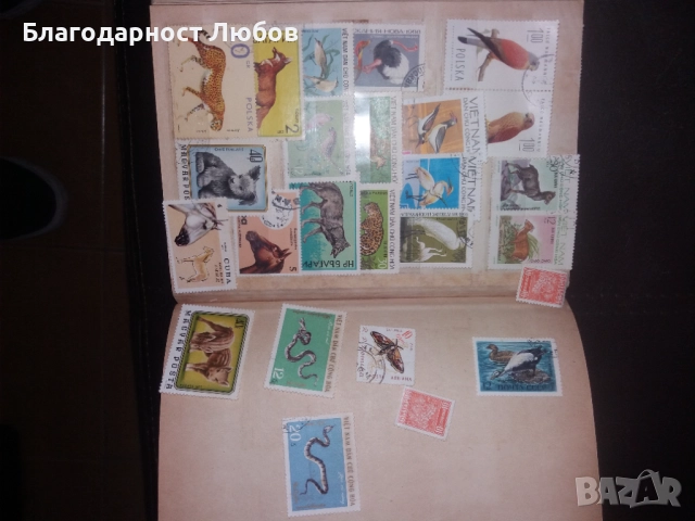 Античен класьор с няколко колекции стари марки, снимка 17 - Филателия - 52427543