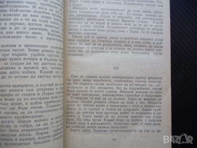 Терез Ракен Емил Зола класика роман прочитна книга четиво, снимка 2 - Художествена литература - 46281915