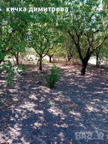 Продавам къща в село Бояна област Варна , снимка 4 - Къщи - 52985413