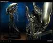 Sideshow Alien фигура статуя колекции , снимка 2