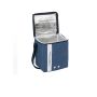 Термо чанта, квадрат, синя, 19x15x20cм 6л, снимка 1 - Кутии за съхранение - 45192099