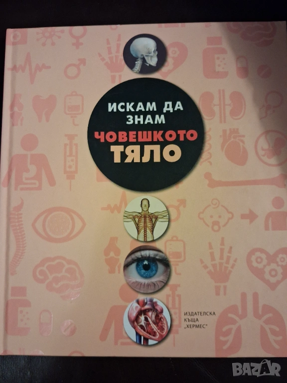 Детска енциклопедия за човешкото тяло, снимка 1