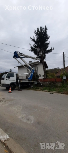 Рязане, кастрене, почистване на терени, снимка 1