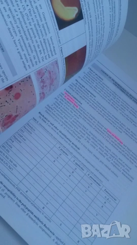 Микробиология - Manual for practical exercises in medical microbiology Part II - Митов, 2020, снимка 9 - Учебници, учебни тетрадки - 54084477