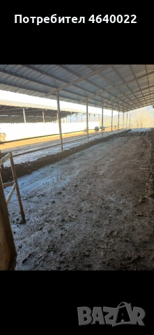 Продава се действаща кравеферма – напълно оборудван и разработен бизнес, снимка 4 - Производствени сгради - 53513854