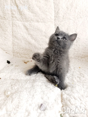 момиченце не е красива тя просто е уникална