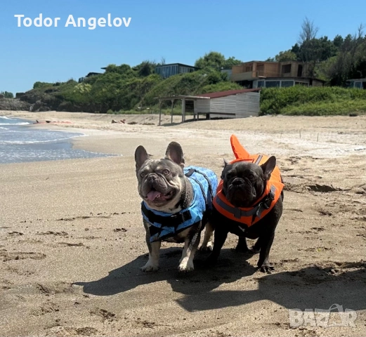 Бунгало ,,Dream Come True”, снимка 15 - Почивки на море - 53818478