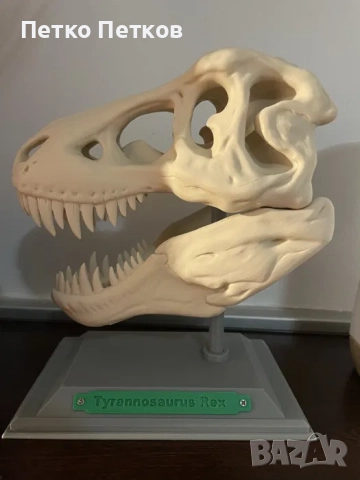 Декорация Череп T-Rex
