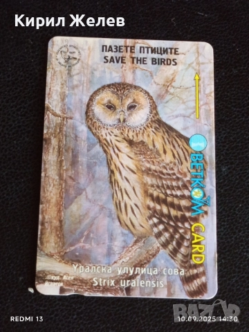 Три фонокарти БЕТКОМ тема ЖИВОТНИ БУХАЛ,СОВА,СКАЛОАЗКА за КОЛЕКЦИЯ 48623, снимка 6 - Колекции - 51666505
