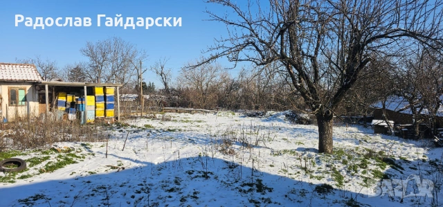 Имоти с.Згалево