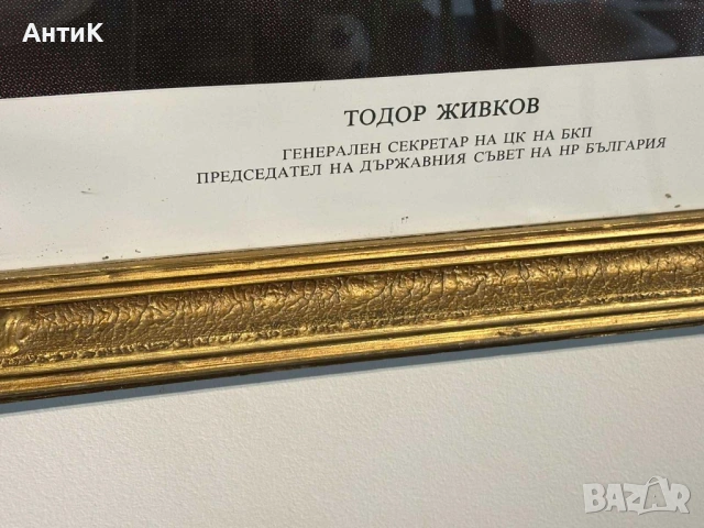 Голям Портрет на Тодор Живков, снимка 3 - Антикварни и старинни предмети - 54118683