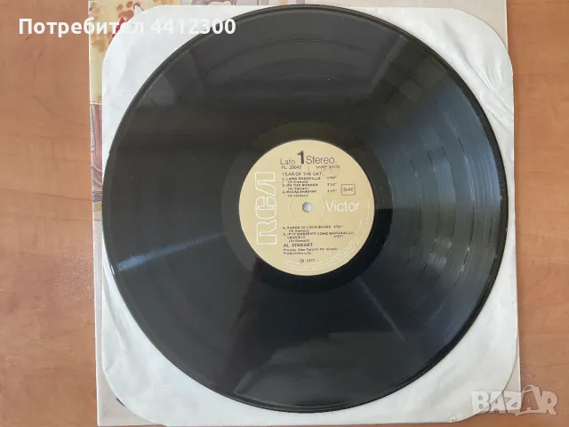 Грамофонна плоча 12”, снимка 4 - Грамофонни плочи - 50181057