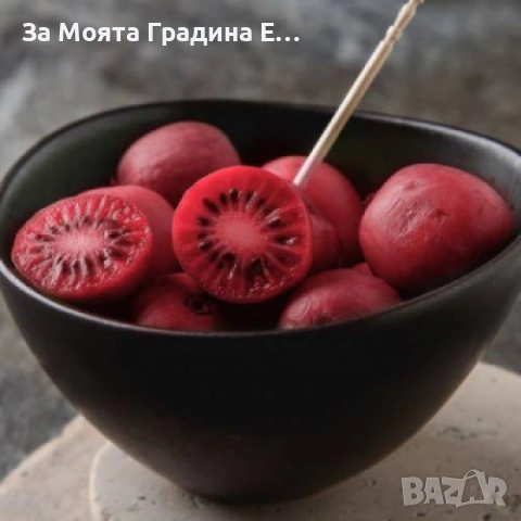Червено киви , снимка 2 - Градински цветя и растения - 53619308