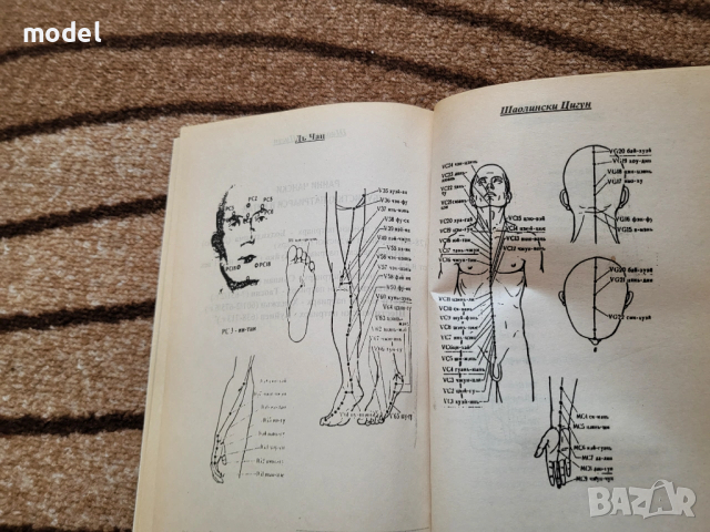 Шаолински цигун - Контролиране на жизнената енергия - Дъ Чан, снимка 3 - Други - 51312750