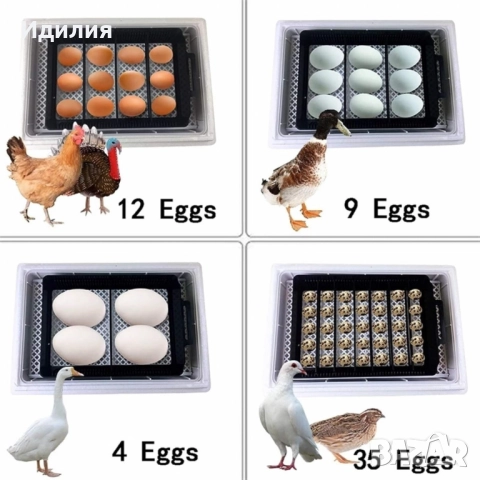 Напълно автоматичен инкубатор за 48 яйца 80W YZ8-48 за пилета, патици, гъски, пъдпъдъци, пуйки, друг, снимка 5 - Други - 51689878