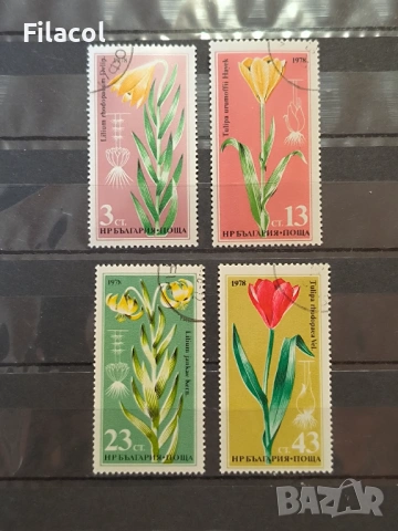 Флора - редки растения. 1978