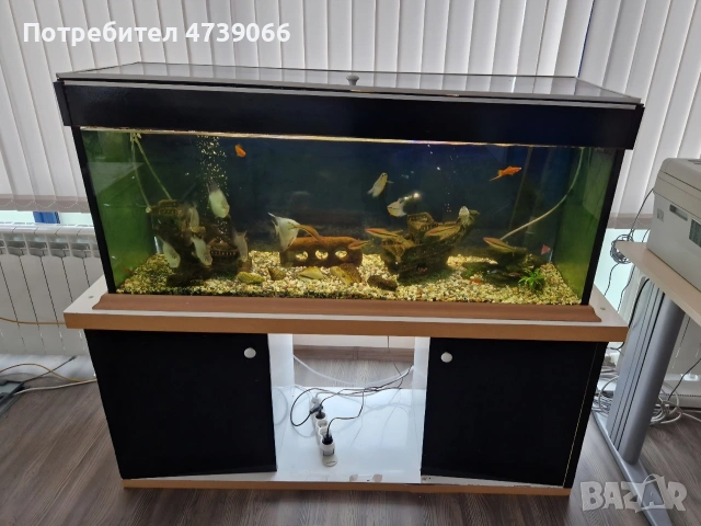 аквариум 130 см