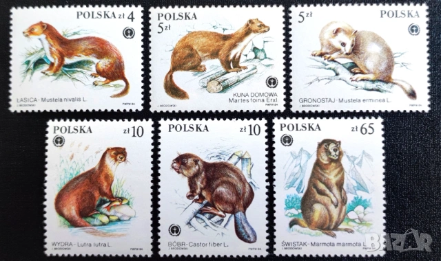 Полша, 1984 г. - лот марки на тема музика, цветя, спорт, олимпиада, ордени, животни, архитектура., снимка 5 - Филателия - 53305962