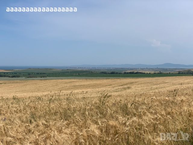 Продавам Панорамна земя до град Каблешково, снимка 9 - Земеделска земя - 44431160