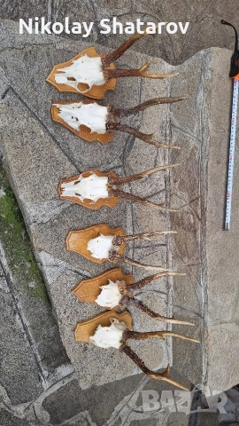 Трофей. Съръндак 