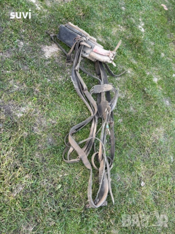 Хамут за магаре, снимка 2 - Други - 54015364