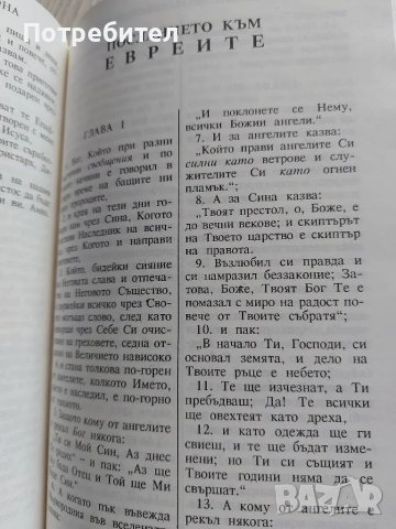 НОВИЯТ ЗАВЕТ, снимка 4 - Антикварни и старинни предмети - 49928735