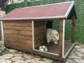 кучешка къща,къща за куче,колиба за куче,кучешка колиба, снимка 10