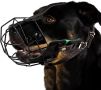 Намордник за големи кучета - метална маска Amstaff с регулируема дишаща кожена презрамка 