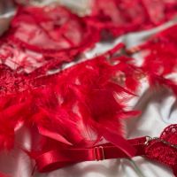 Комплект дамско бельо от пет части с пера в червено, снимка 3 - Бельо - 45846596