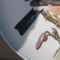 Немска рисувана чиния ''Goеbel'', снимка 9 - Антикварни и старинни предмети - 45480159