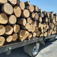 предлагам дърва за огрев дъб и бук , снимка 1 - Дърва за огрев - 45733609