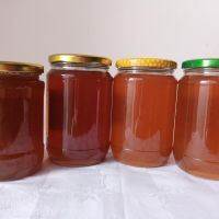 Уникален натурален пчелен мед МАГАРЕШКИ БОДИЛ, ГОРСКИ БУКЕТ, КЪПИНА, МАЩЕРКА и ЛАВАНДУЛА, снимка 2 - Пчелни продукти - 45682396