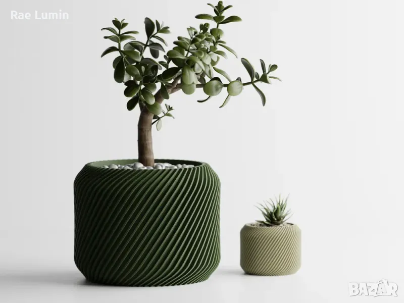 Саксия – хармония на линиите, снимка 1