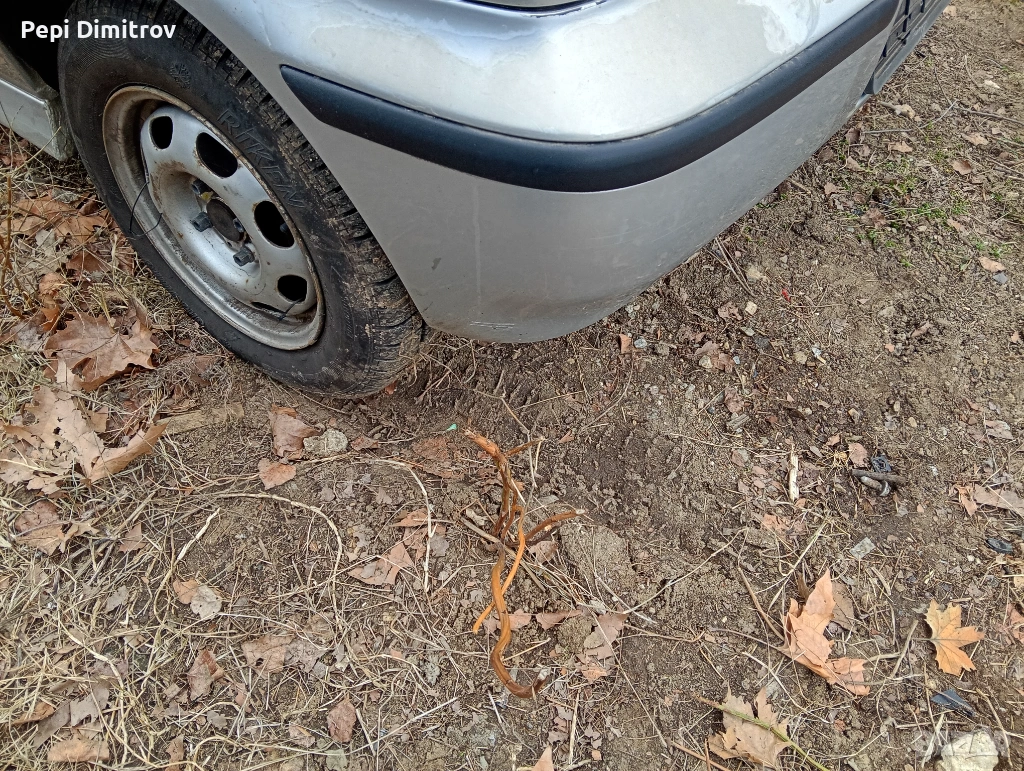 Задна броня Поло 6n2 1.4 16v 75 к.с. 2000 г. Vw polo 6n2, снимка 1