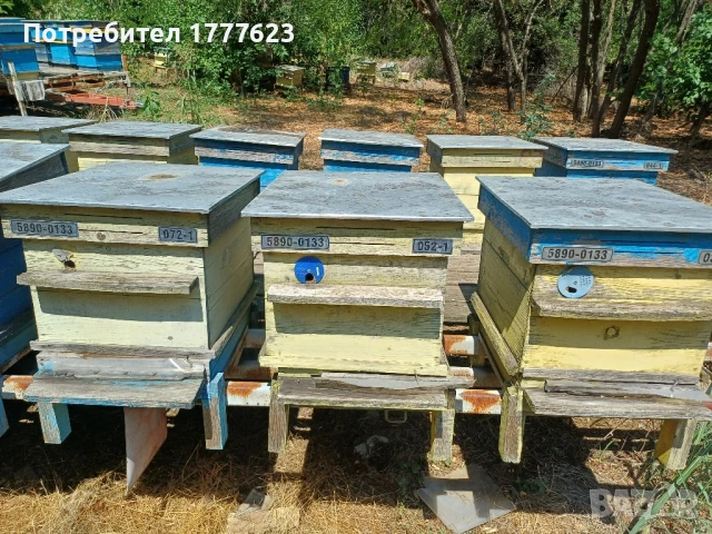 Сандъци за кошери, снимка 7 - За пчели - 51412024