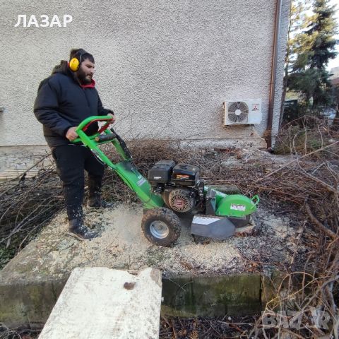 Рязане кастрене и грижа за дърветата , снимка 6 - Градинска техника - 46005855