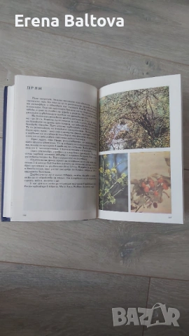 🍃💜   Албум за растения и животни  299стр. 1976г, снимка 5 - Други - 53912262