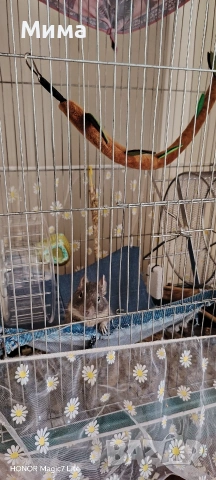клетка за гризачи, снимка 5 - За гризачи - 53704859