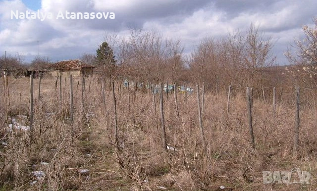 Къща за продажба в Сърнец, област Добрич, снимка 7 - Къщи - 53656508