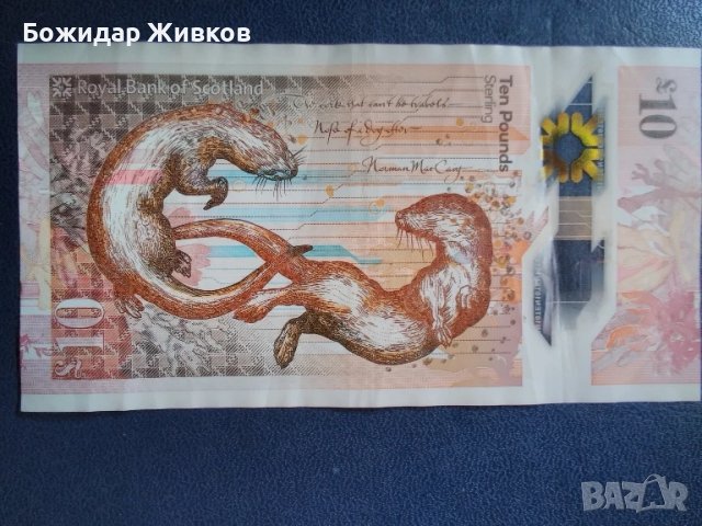 10 паунда Шотландия 2021г полимер, снимка 2 - Нумизматика и бонистика - 51362010