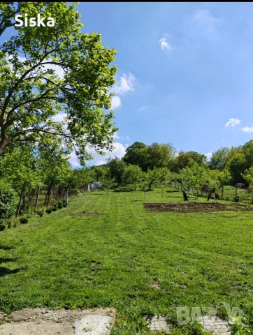 Парцел в село Лозево , снимка 3 - Парцели - 53117527