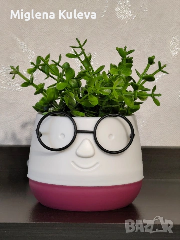 Мини саксийка с изкуствено цвете Очила 