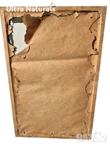 Винтидж хербарий с естествени цветя за декорация на стена, снимка 2 - Декорация за дома - 53126502