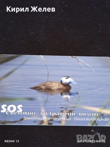 Три фонокарти МОБИКА тема ЖИВОТНИ ТАРАЛЕЖ,КЪДРОГЛАВ ПЕЛИКАН 17067, снимка 7 - Колекции - 51649185