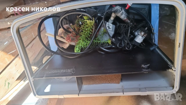 Самоподдържащ се Аквариум и принадлежности, снимка 4 - Аквариуми - 48918389